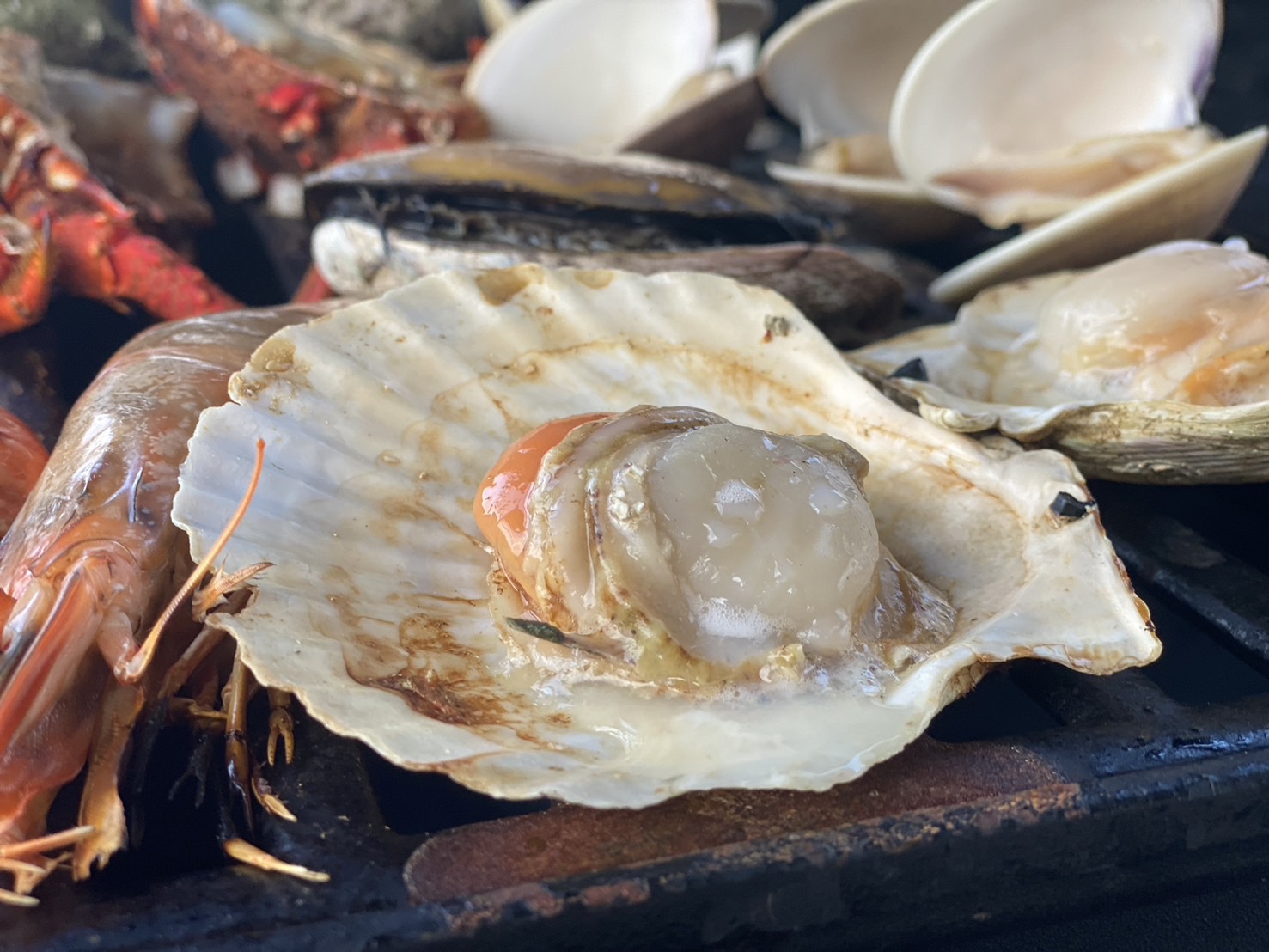 【夕食付／コスト重視】★海鮮もお肉もリーズナブルに楽しみたい方必見★