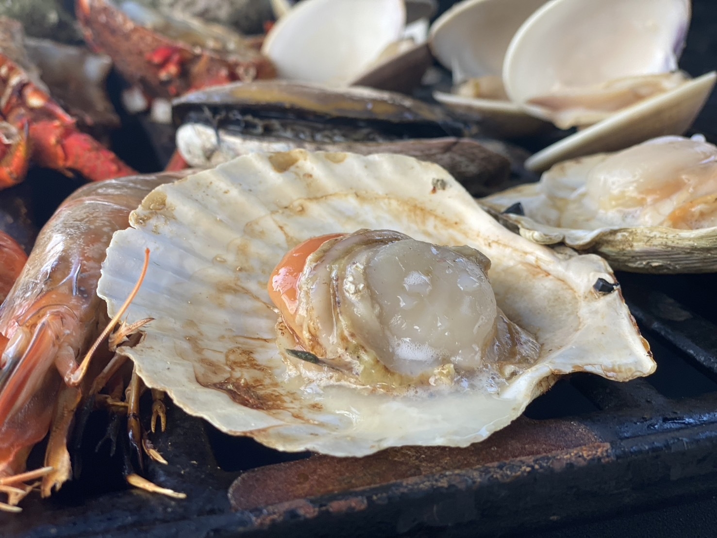 【夕食付／コスト重視】★海鮮もお肉もリーズナブルに楽しみたい方必見★