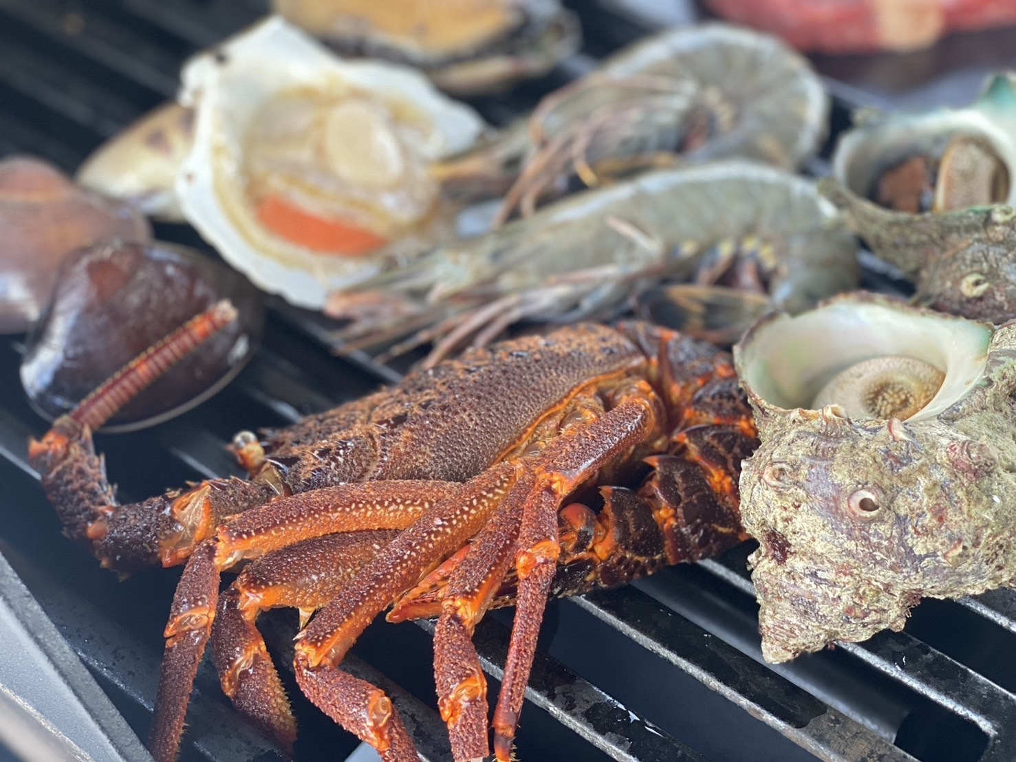 【楽天月末セール】【夕食付／スタンダード】★海鮮卸売り業者が厳選する海の幸でBBQを満喫