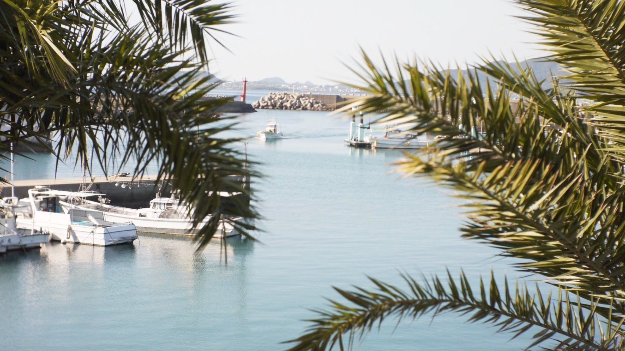 【素泊まり】豊かな自然が残る五島でのんびり滞在。大浜漁港が一望できる一棟貸し宿で過ごす贅沢時間
