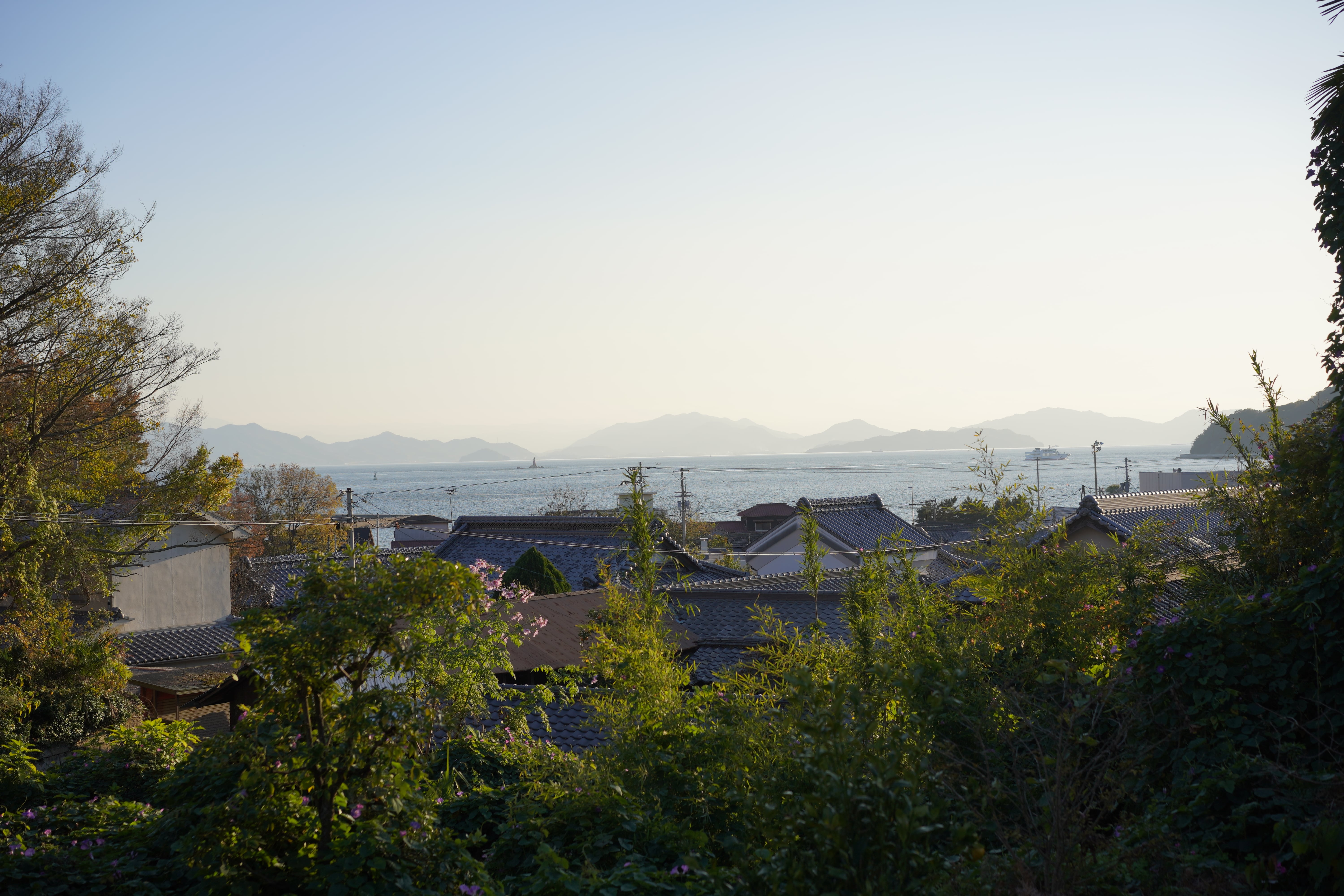 宿からの景色