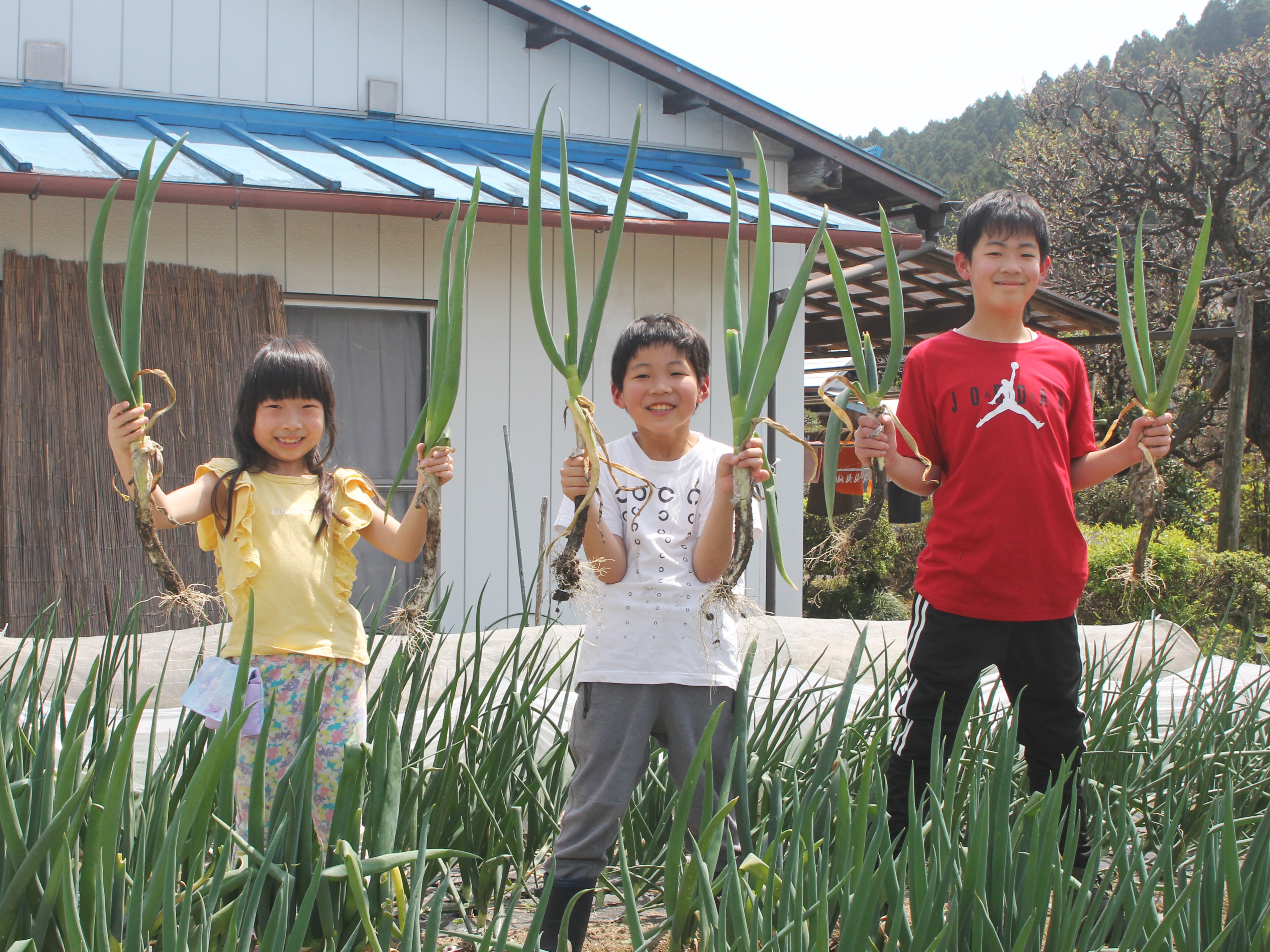 【期間限定】地元農家さんと提携！夏野菜の収穫体験付き・お丸山会席 1泊2食プラン