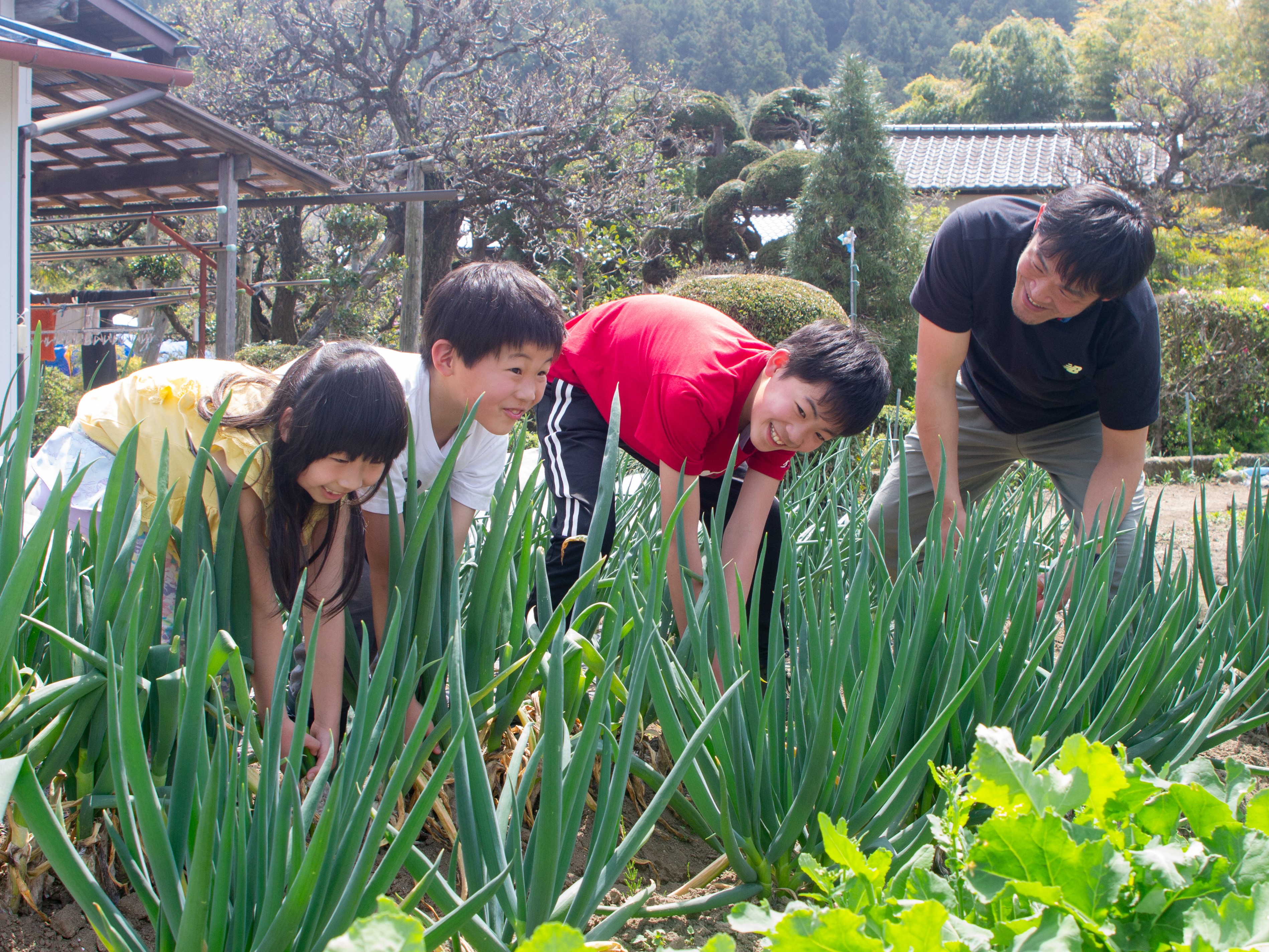 【期間限定】地元農家さんと提携！夏野菜の収穫体験付き・お丸山会席 1泊2食プラン