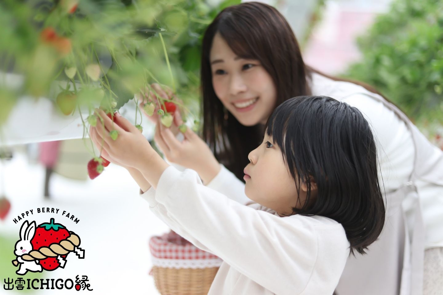 【冬季限定】出雲ICHIGO縁☆3種いちご食べ放題?素泊まりプラン?