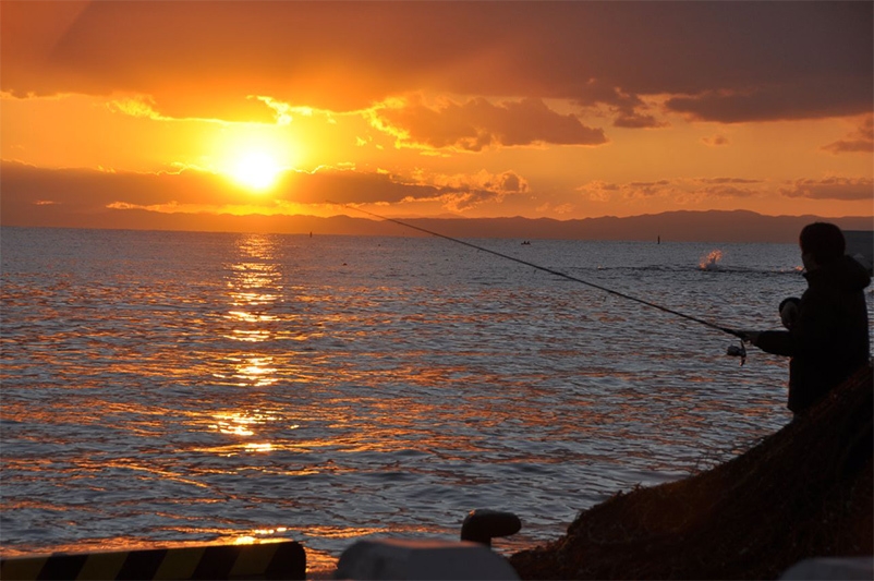 【春〜秋限定！越前港めし】２つの名物料理を舌鼓　◆夕食は蟹味噌せいげ鍋　◆朝食はセイコガニ丼
