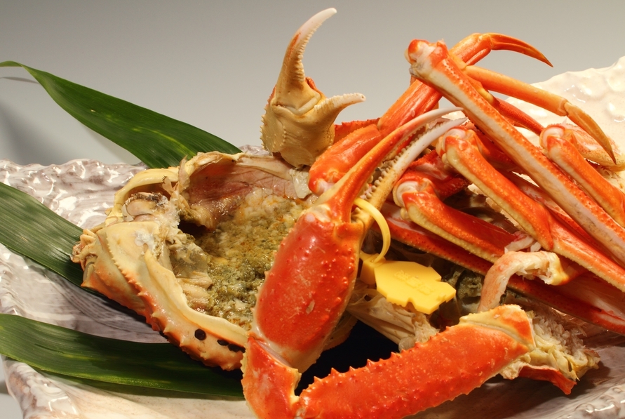 【1月〜期間限定！】越前ガニ500ｇ以上《3万円ポッキリプラン》〜絶景テラスで朝食〜セイコガニ鍋付