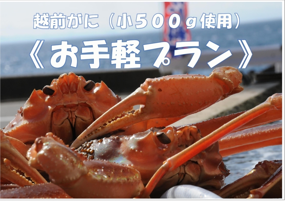 【楽天！復活】シーズン到来！越前がに小500g使用《お手軽プラン》〜絶景テラスで朝食〜セイコガニ鍋付