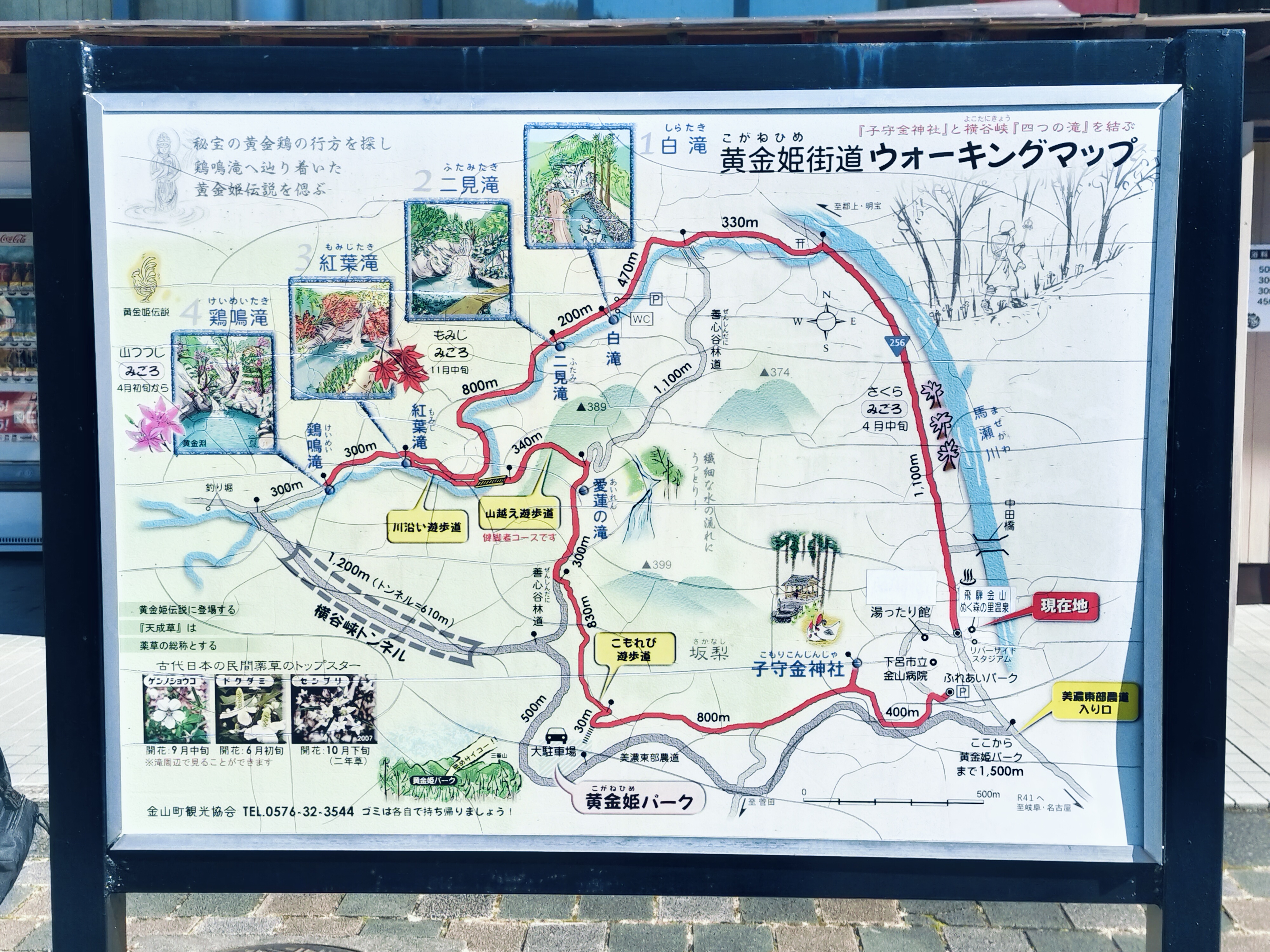 周辺マップ