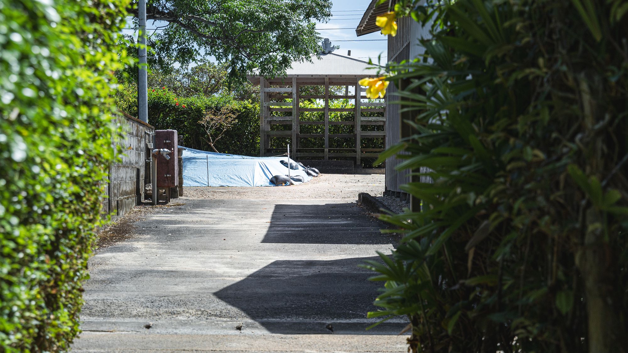 ネリヤ様（神様）が神山を行き来するための神聖な道、神道。