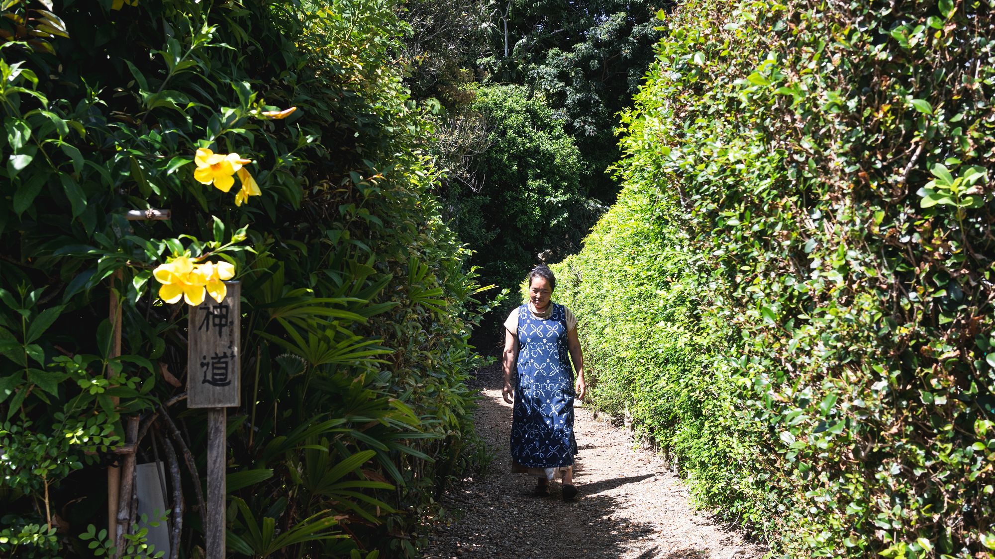 加計呂麻の人々が大切にしてきた自然や文化を肌で感じることができます。