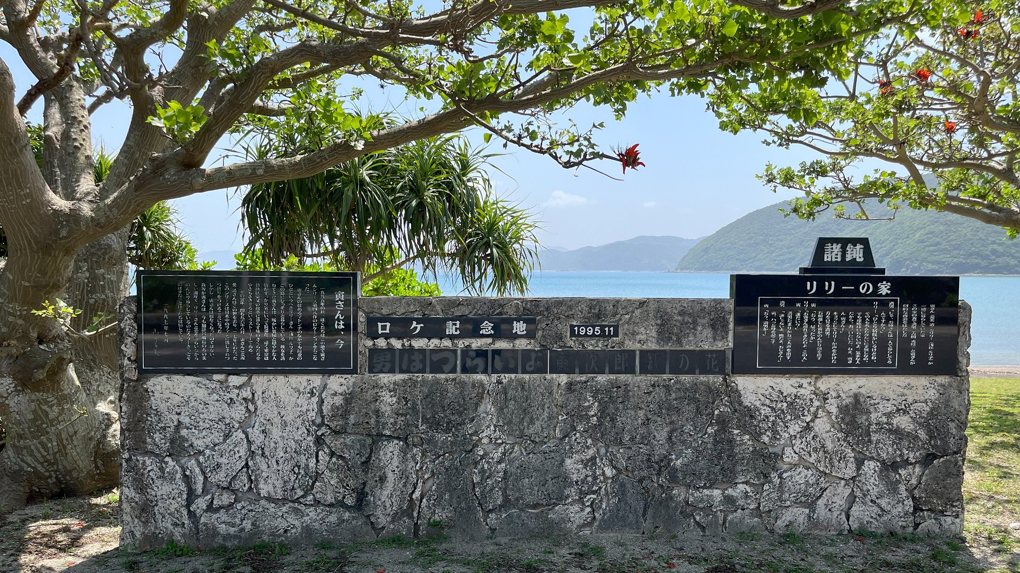 5月から6月にかけて諸鈍集落では、真っ赤なデイゴの花が咲き始めます