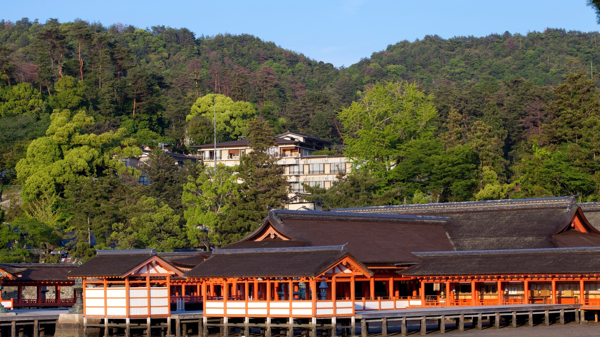 厳島神社から徒歩3分の宿