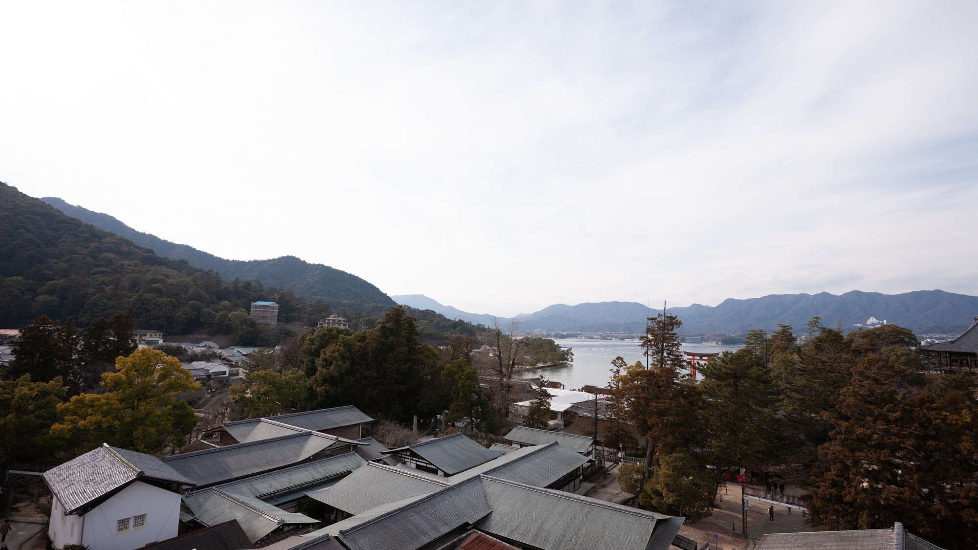 仙山景色