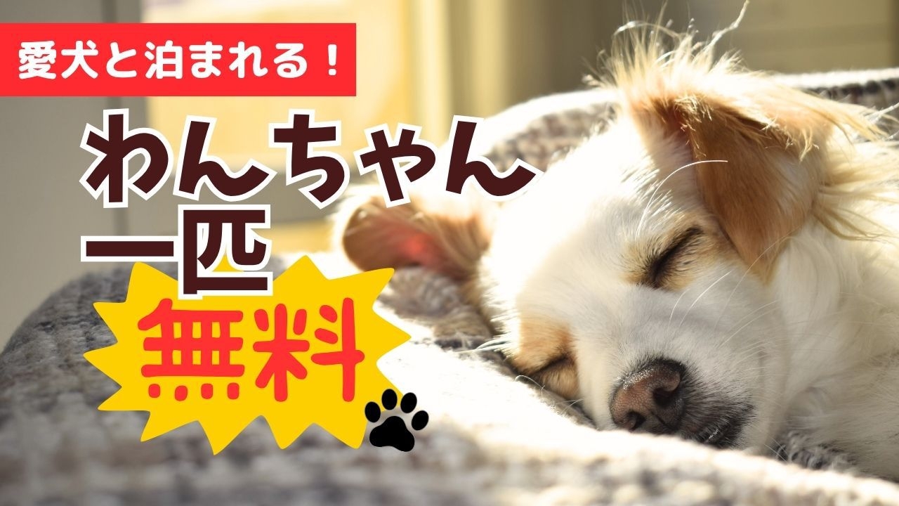 【ペット１匹同伴無料”　】ーお得に愛犬とで過ごす、特別な一日。