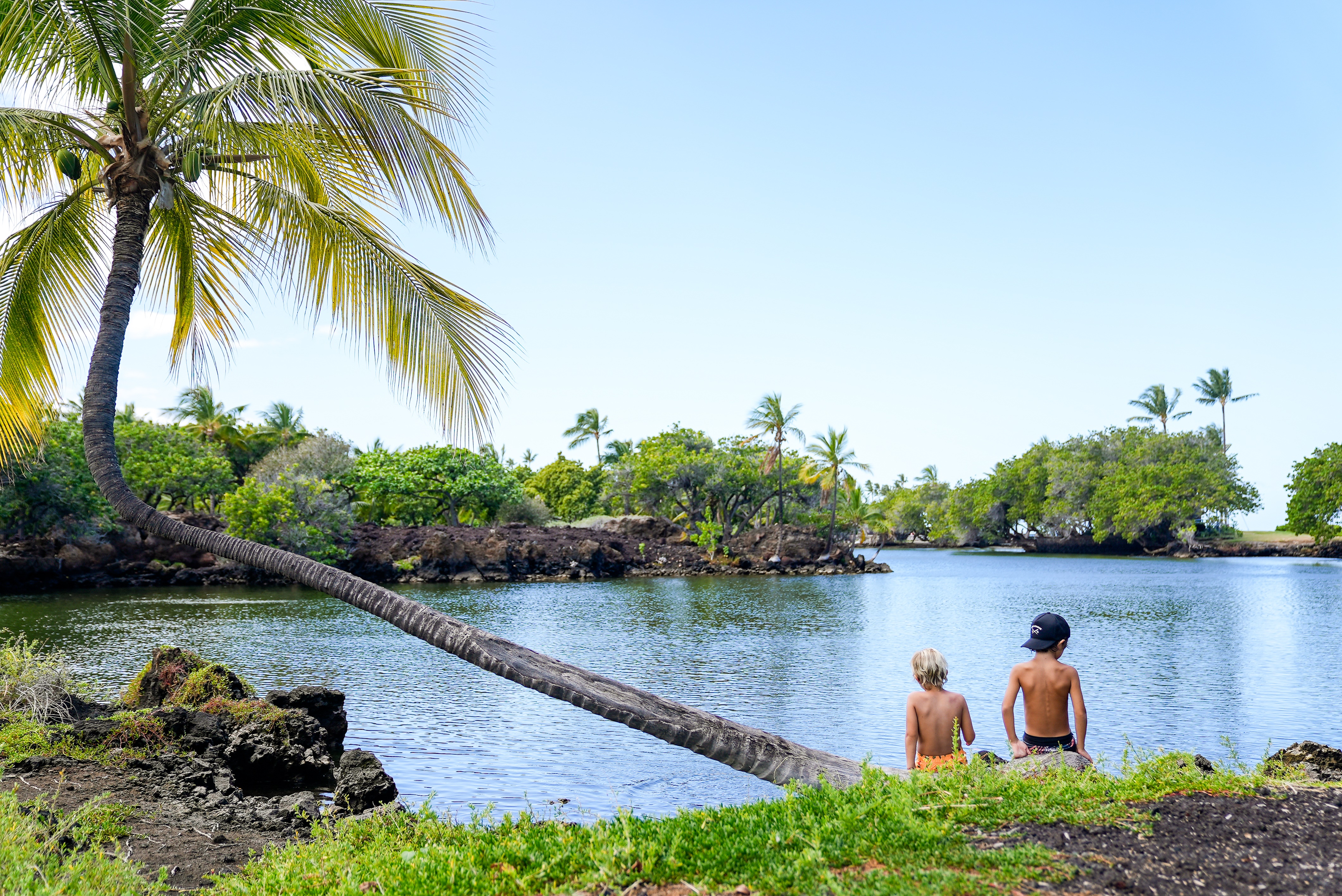 カラフイプア フィッシュポンド