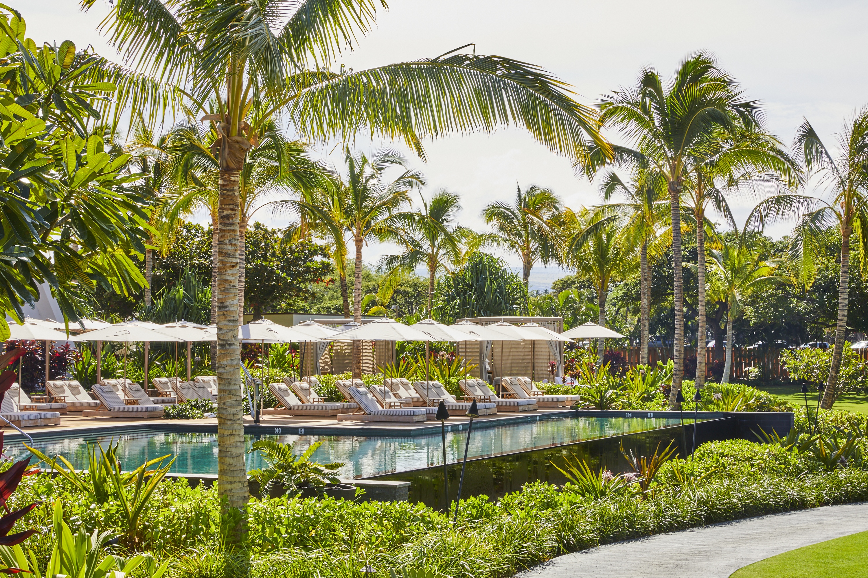 アダルトプール