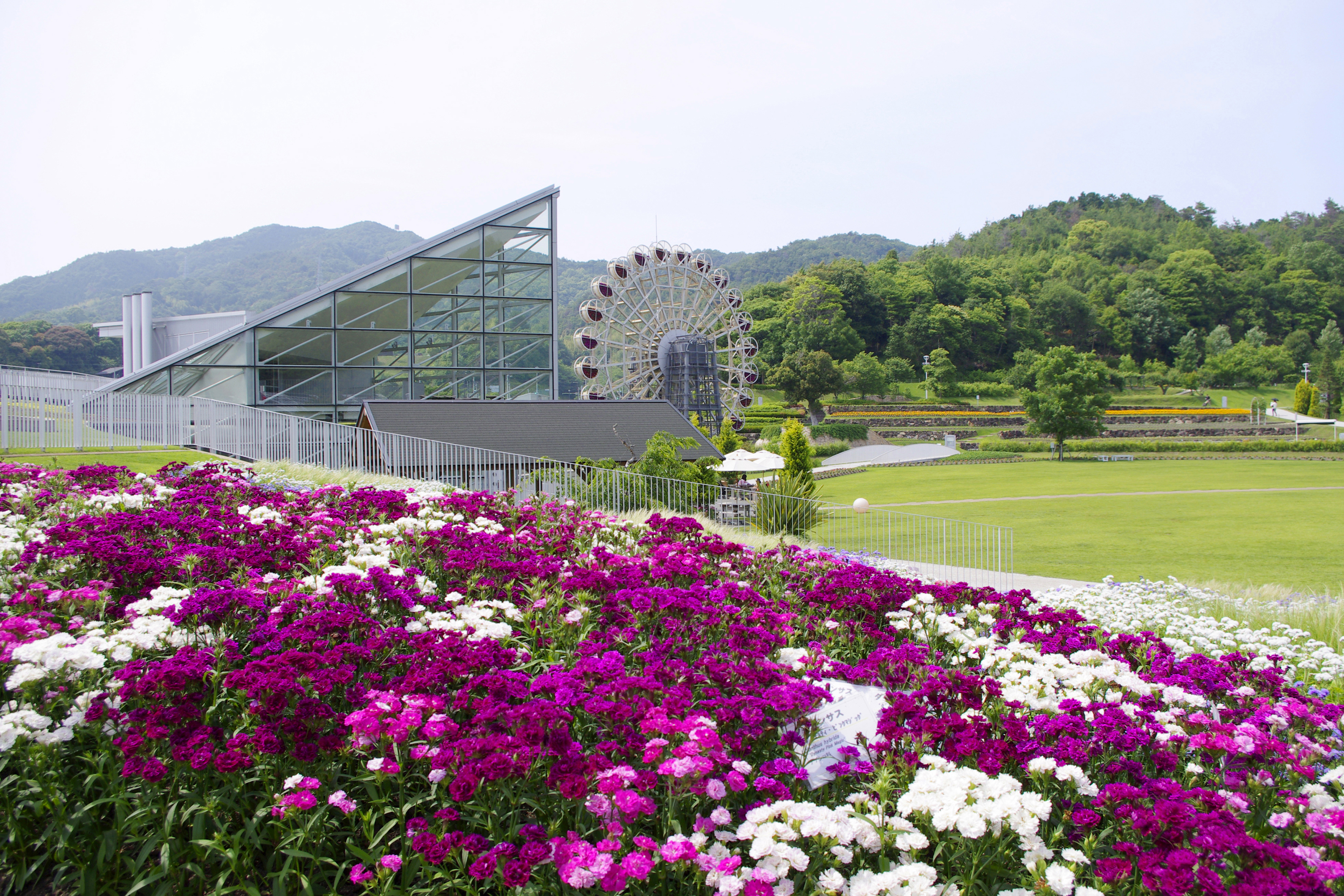 【やまぐちフラワーランド】90品目300種類の花が咲き誇る人気の観光スポット。当館より車で約15分