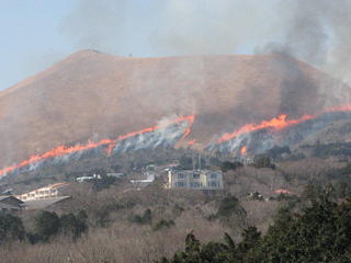 大室山山焼き