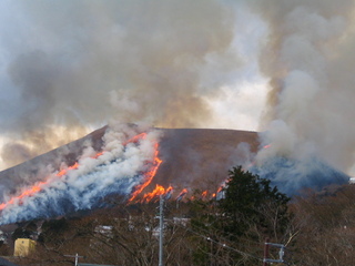 大室山山焼き