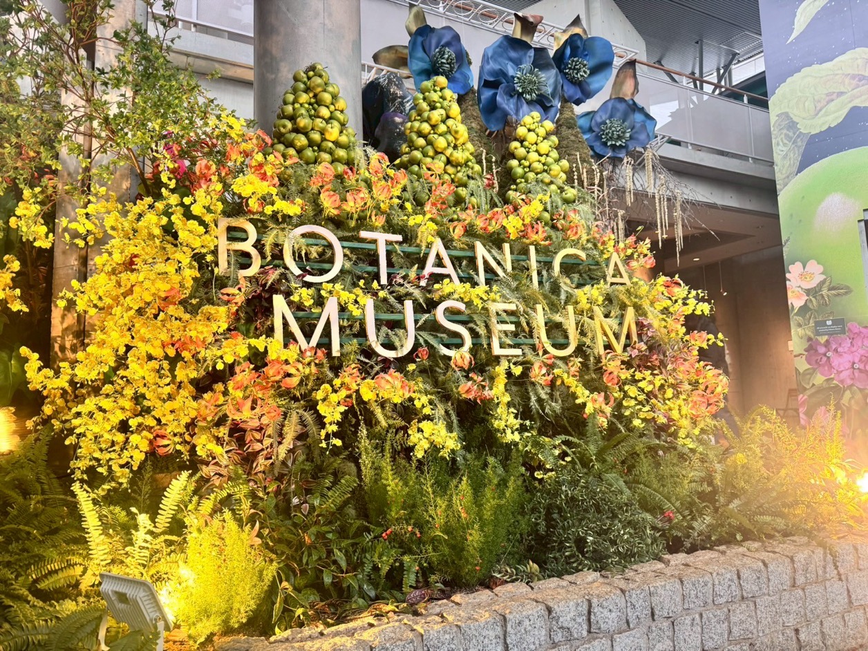 BOTANICA MUSEUM