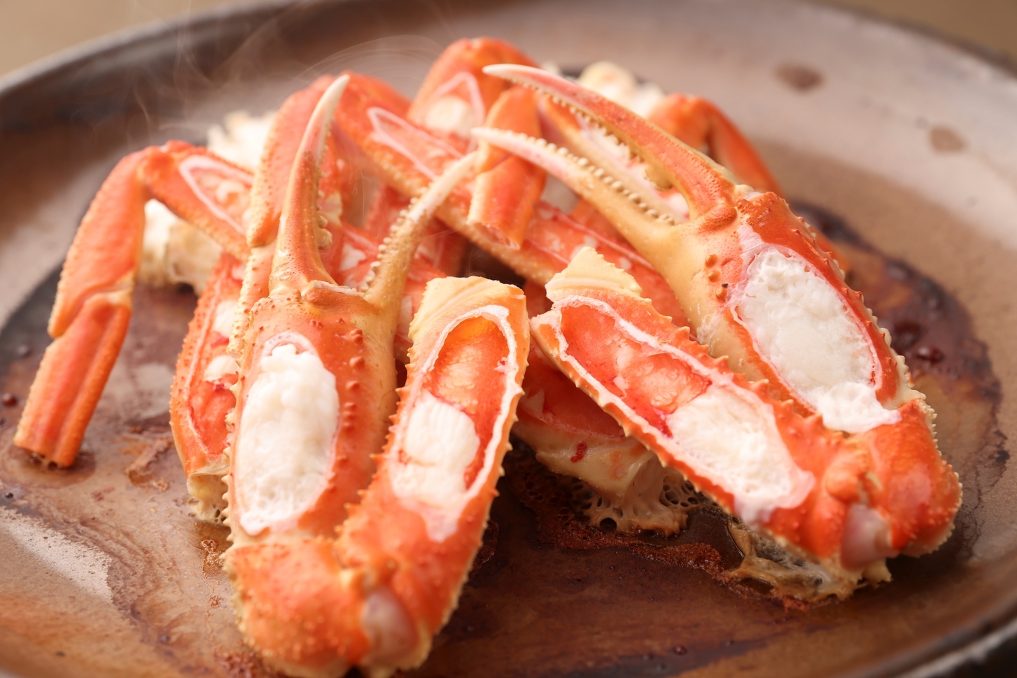 愛犬同泊【部屋食】美しさにうっとり 2匹　かに刺し付きフルコース