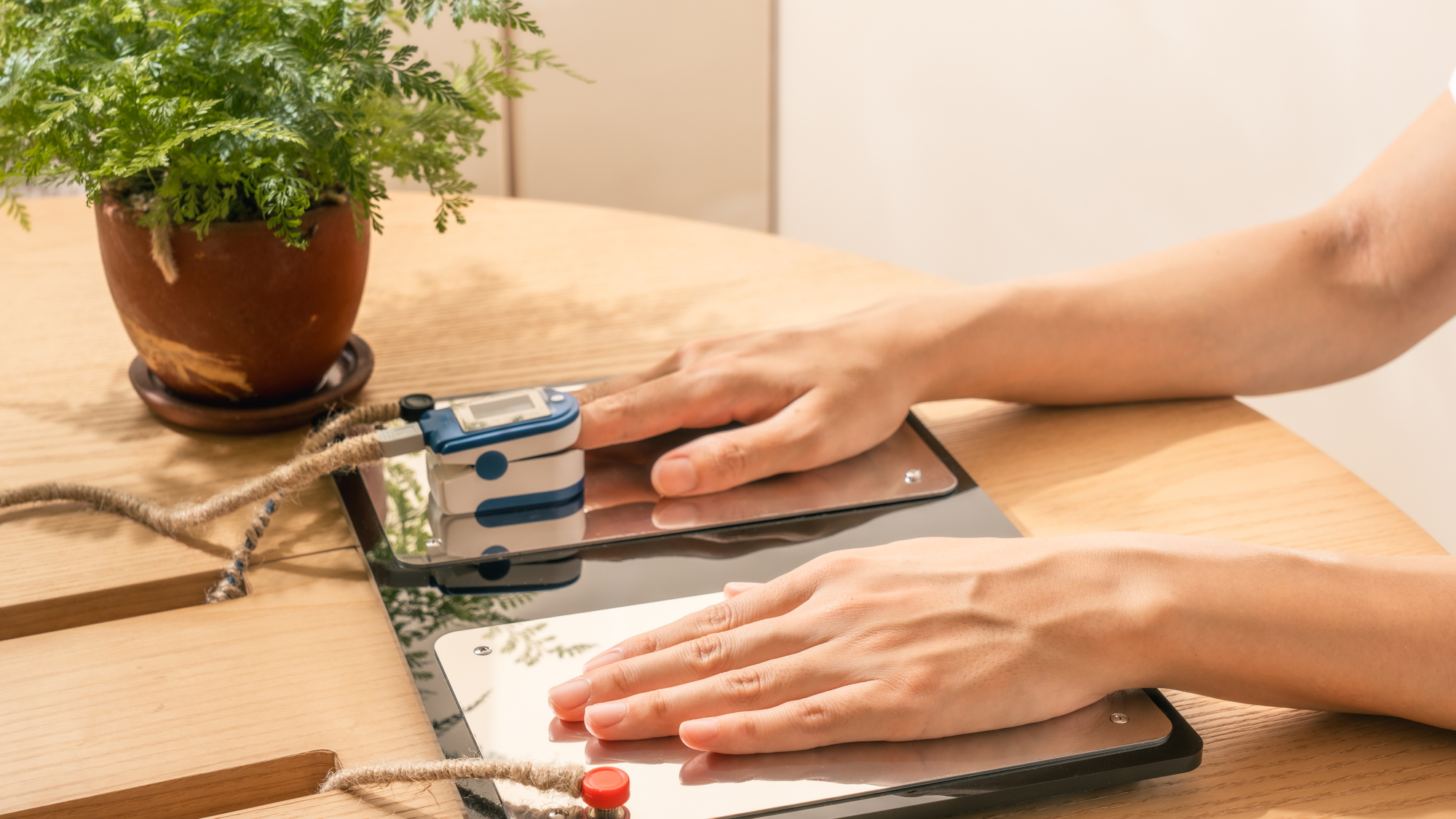 ウェルネス スクリーニング