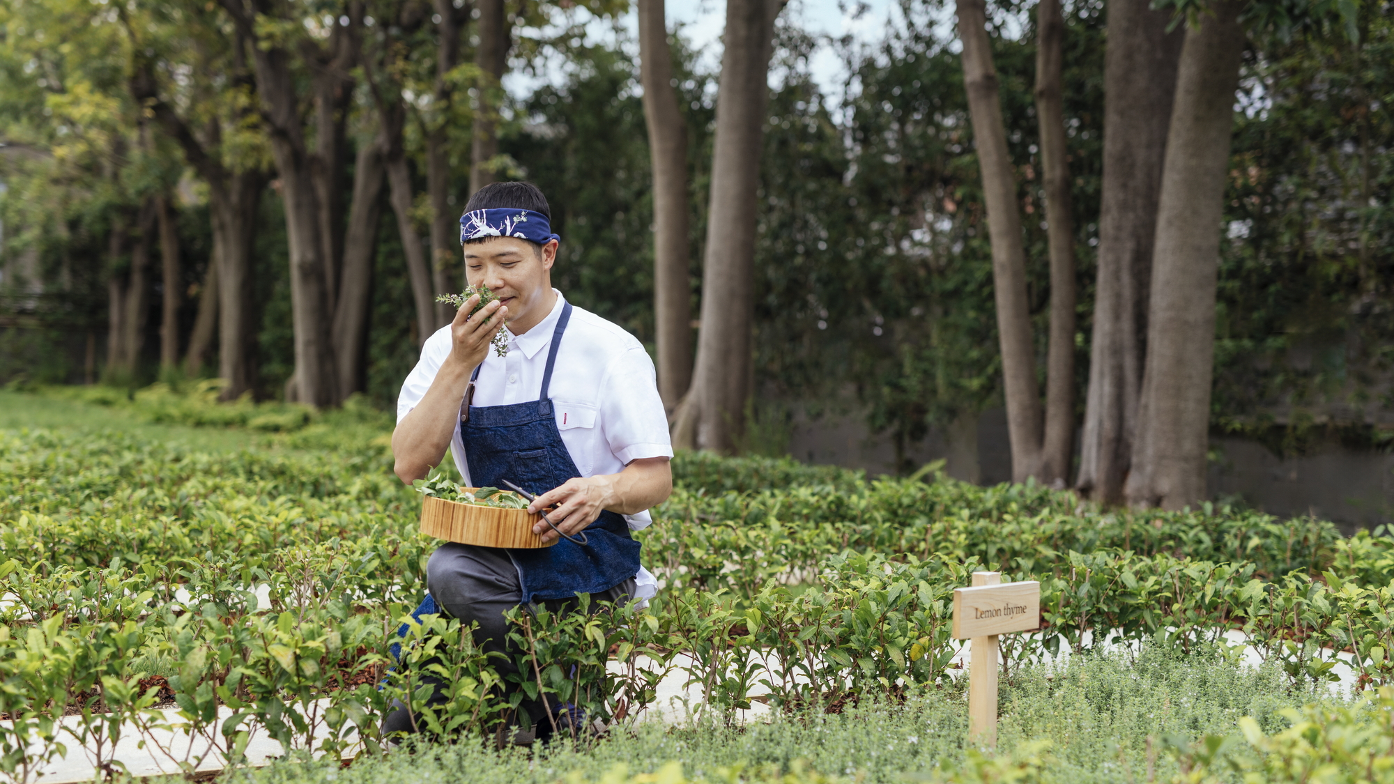 ハーブガーデン