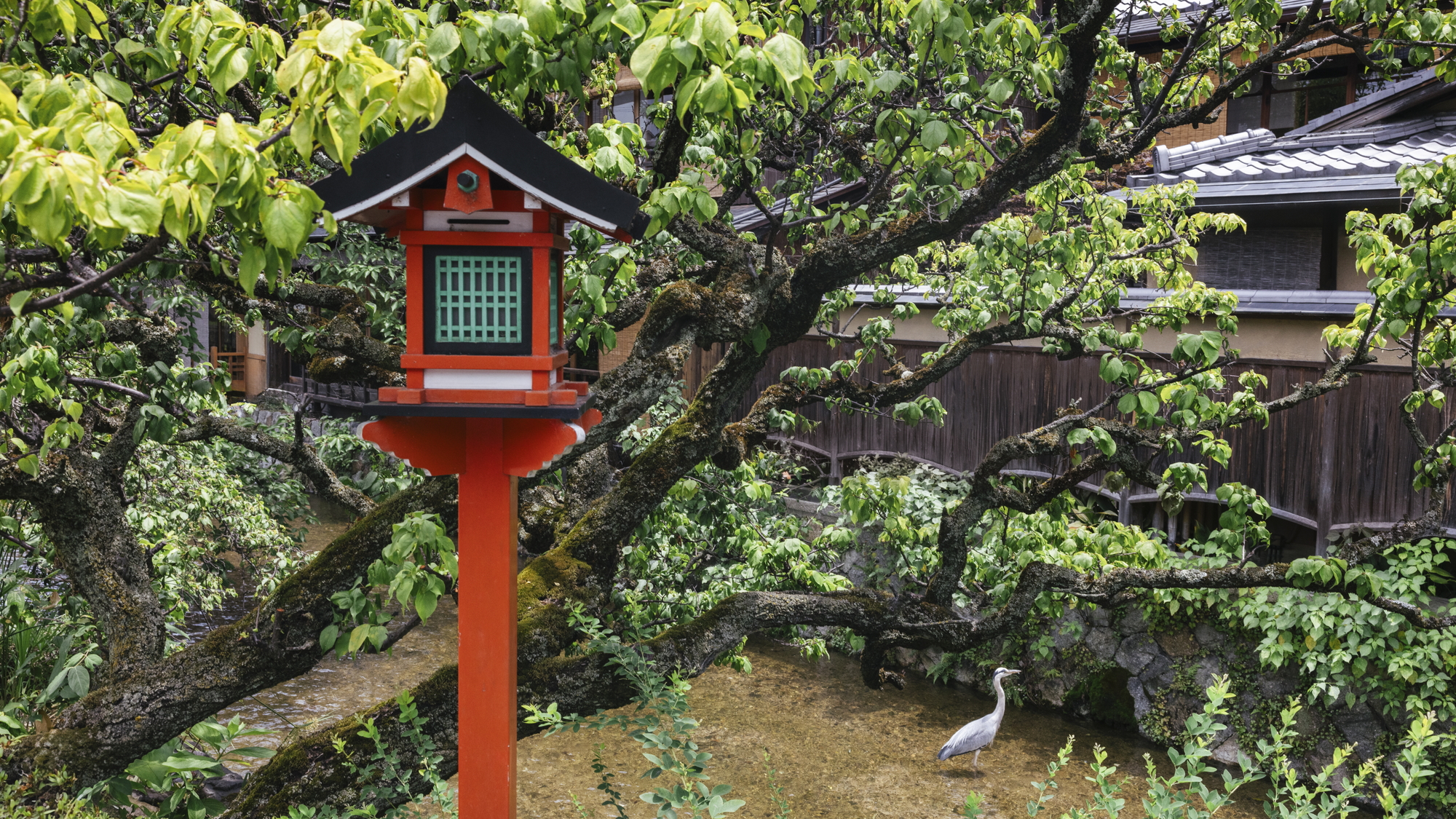 祇園エリアへは徒歩約20分