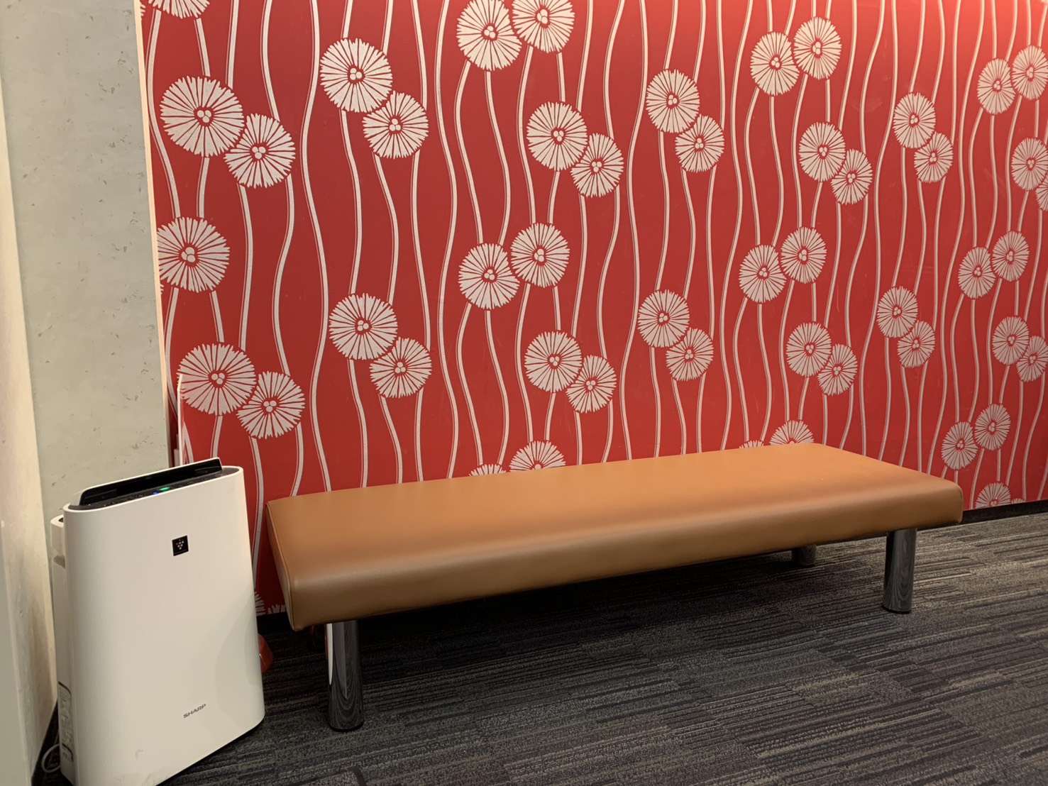 フロント ベンチ