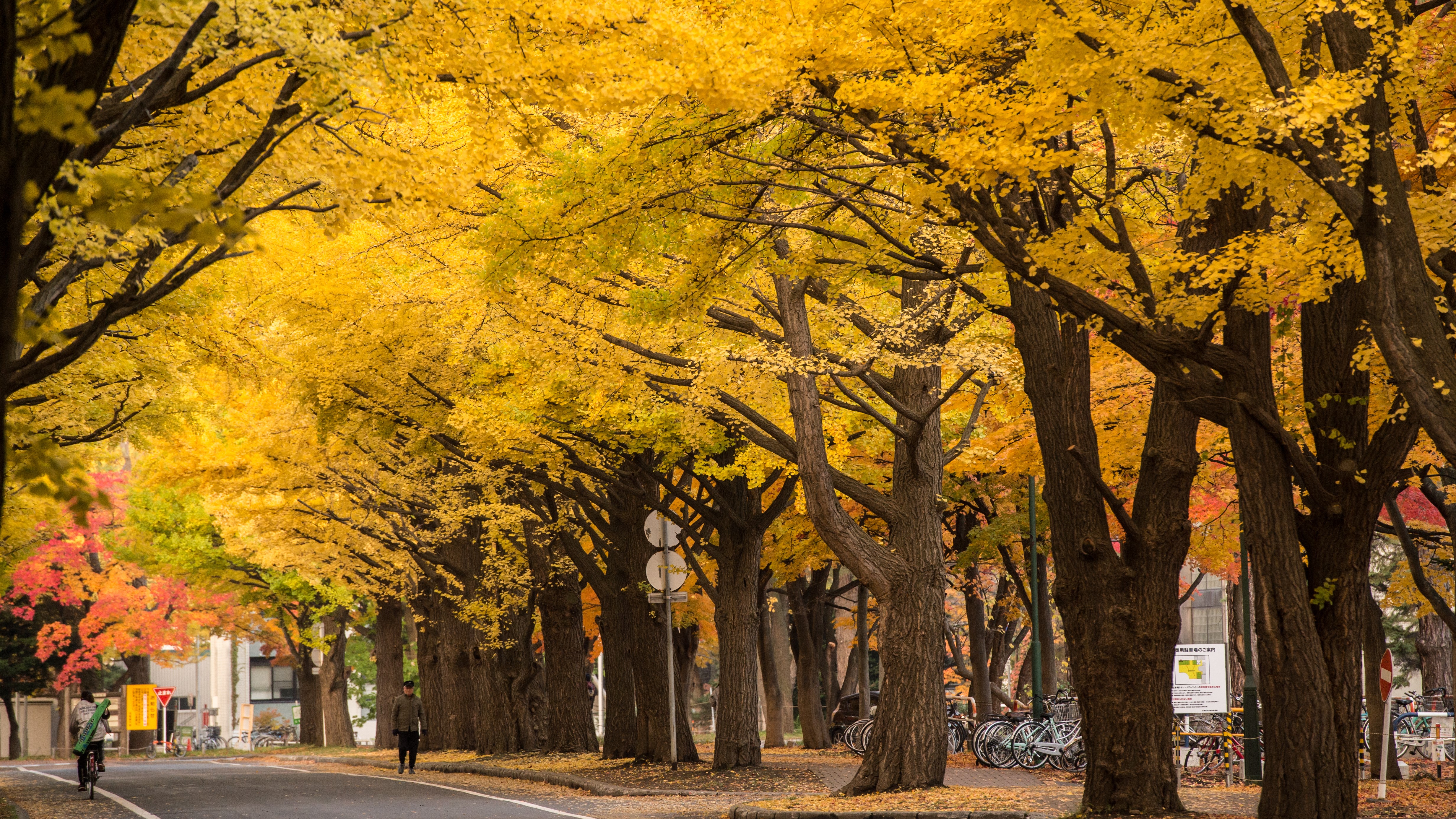 周辺／北海道大学