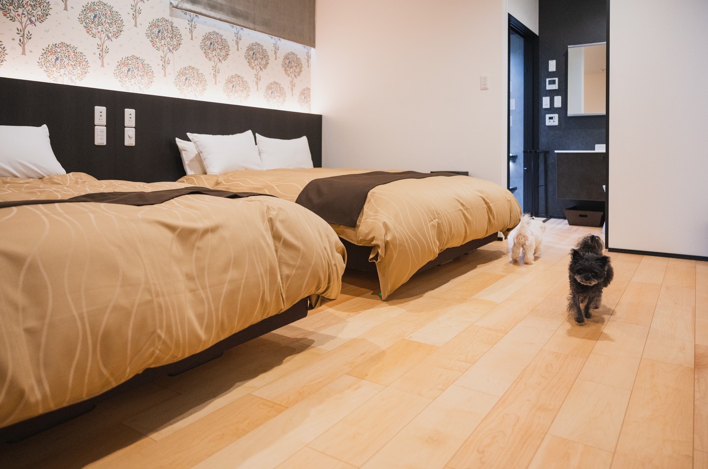 コテージ(ペット同伴可能)