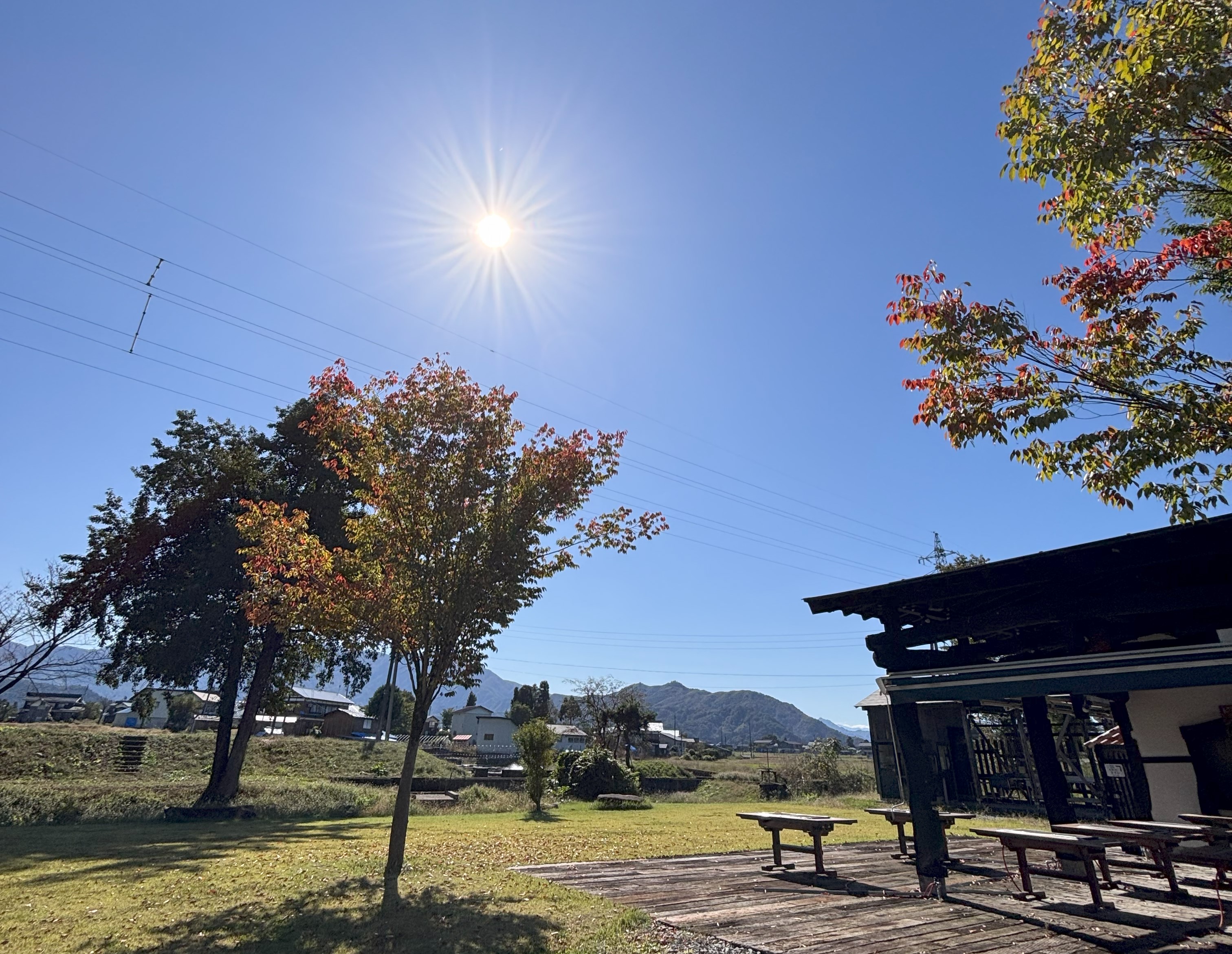 秋晴れと紅葉