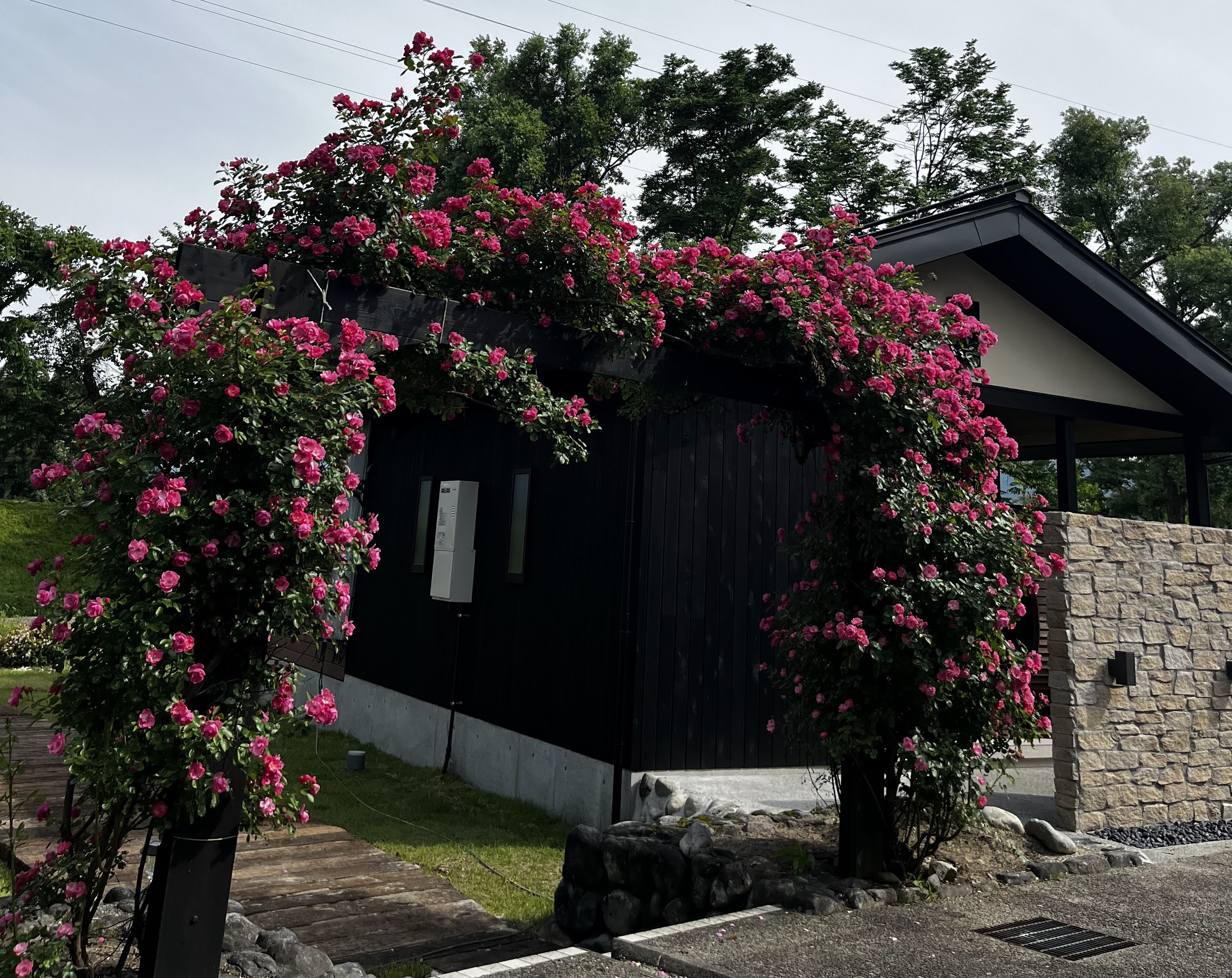 ローズゲートで思い出の一枚を・・・