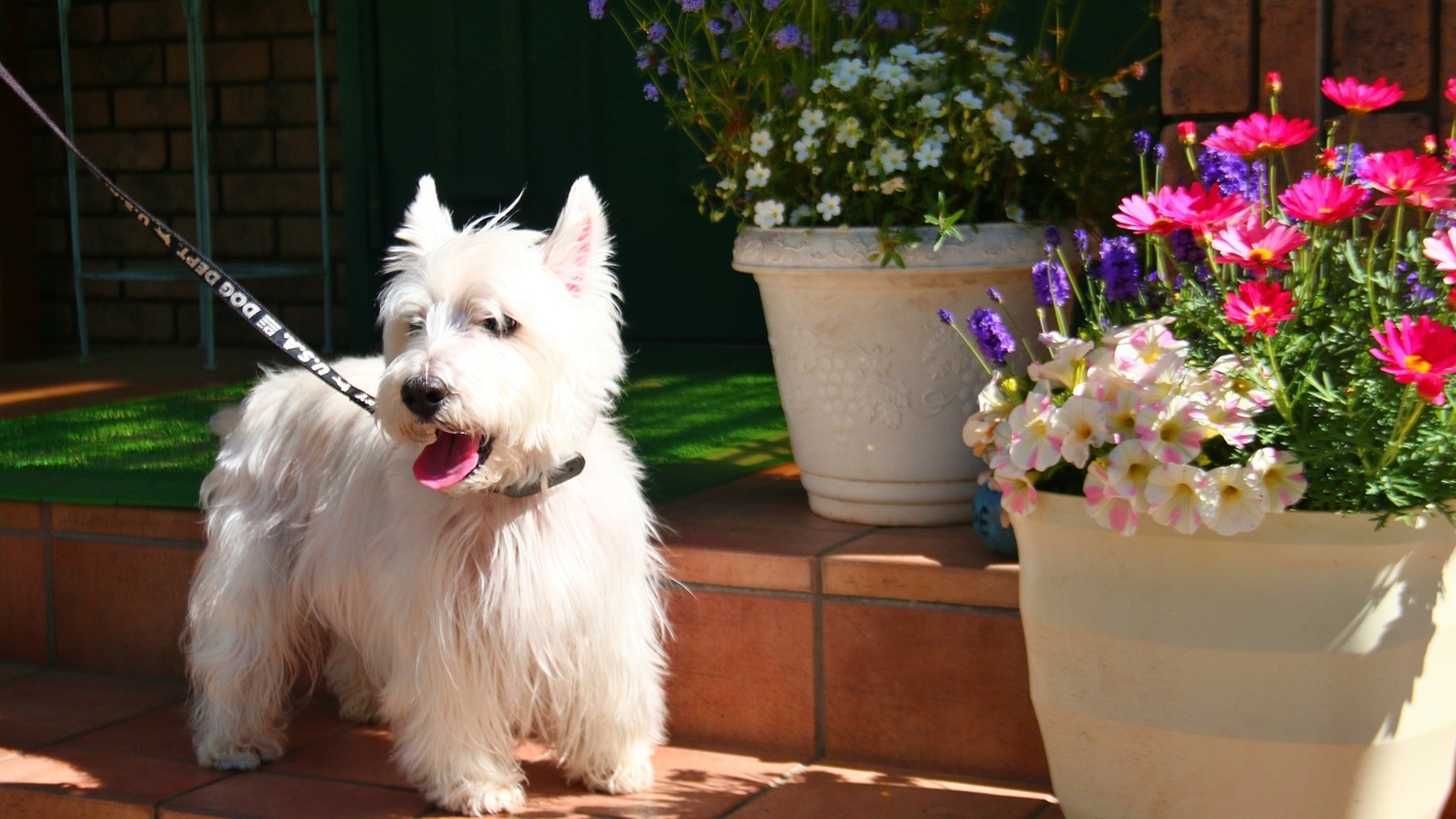 【直前割】朝早くに出発の方ににおすすめ♪夕食は和洋折衷手作り家庭料理をどうぞ☆【1泊夕食付】