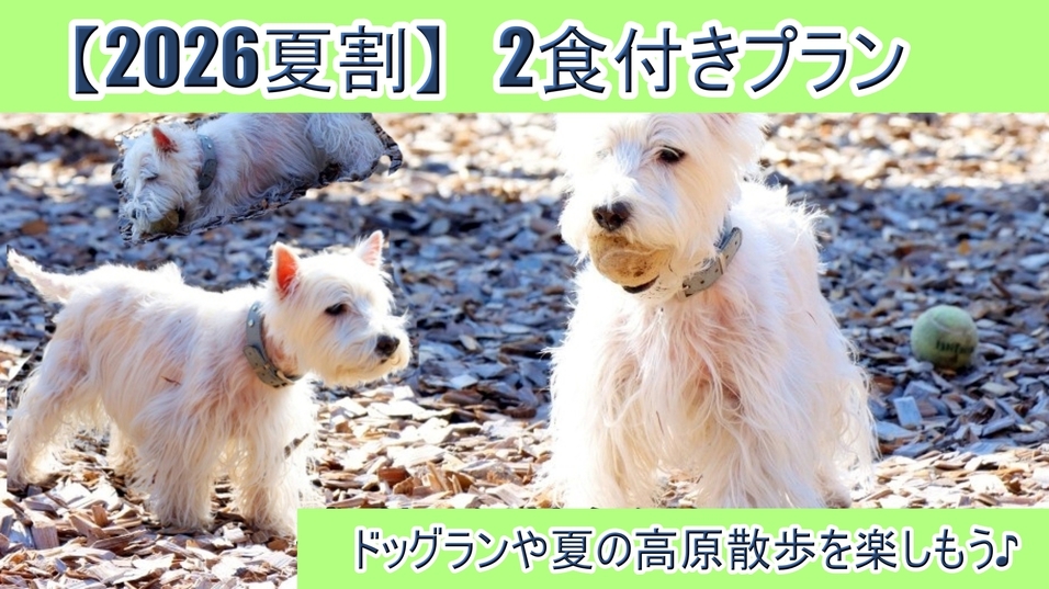 【2026夏割】お一人様500円OFF★大型犬までOK♪わんちゃんと思い出夏旅に！【1泊２食付】