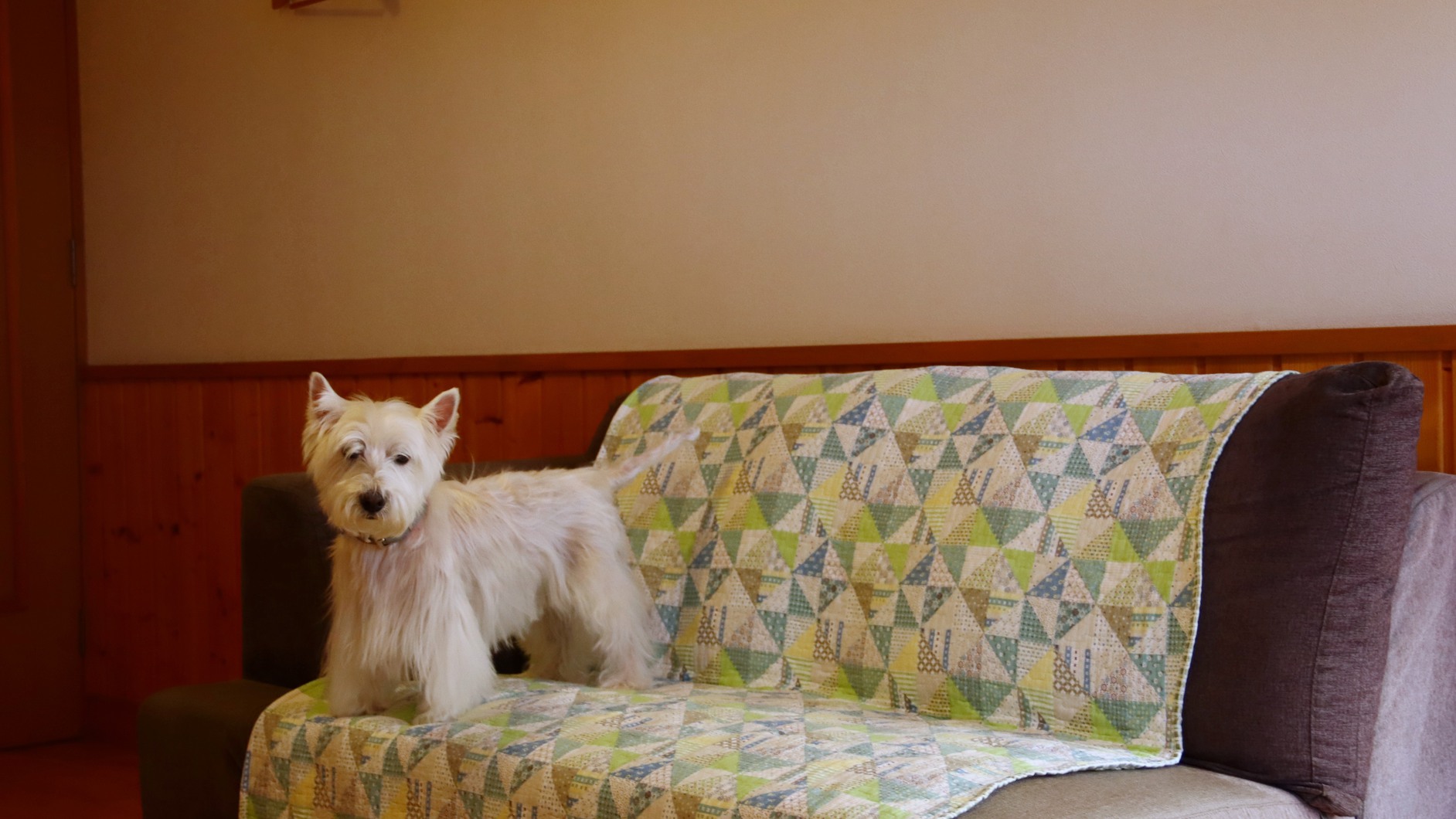 【Dog×Stay】大型犬までOK♪わんちゃんと思い出旅行にぜひ！【1泊２食付】
