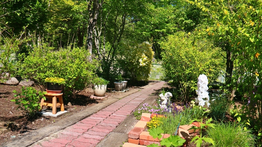 【直前割】わんちゃんと一緒に楽しむ♪八ヶ岳南麓の旅【1泊朝食付】