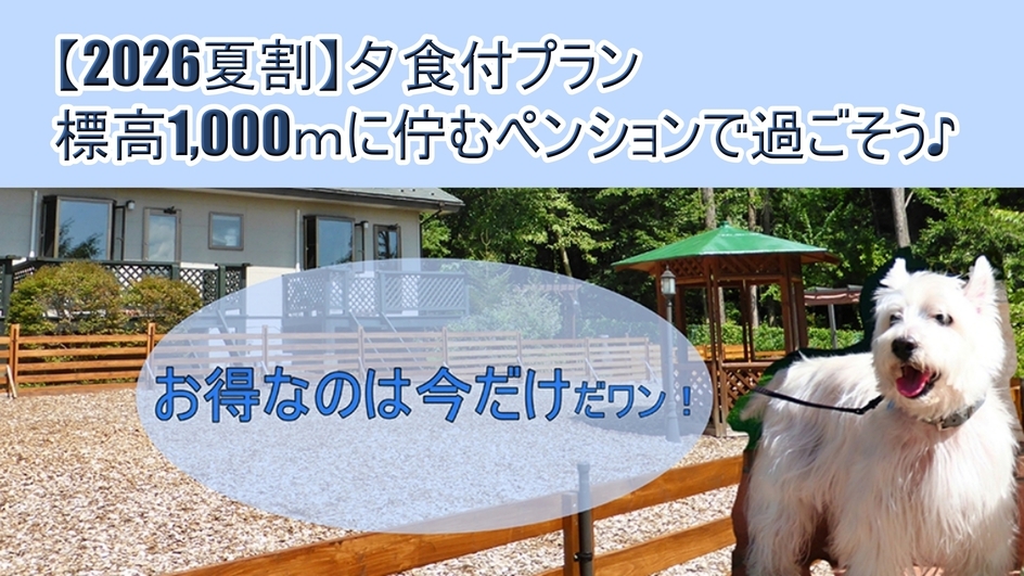 【2026夏割】お一人様500円OFF★朝早い出発におすすめ♪手作り和洋夕食を楽しむ【1泊夕食付】