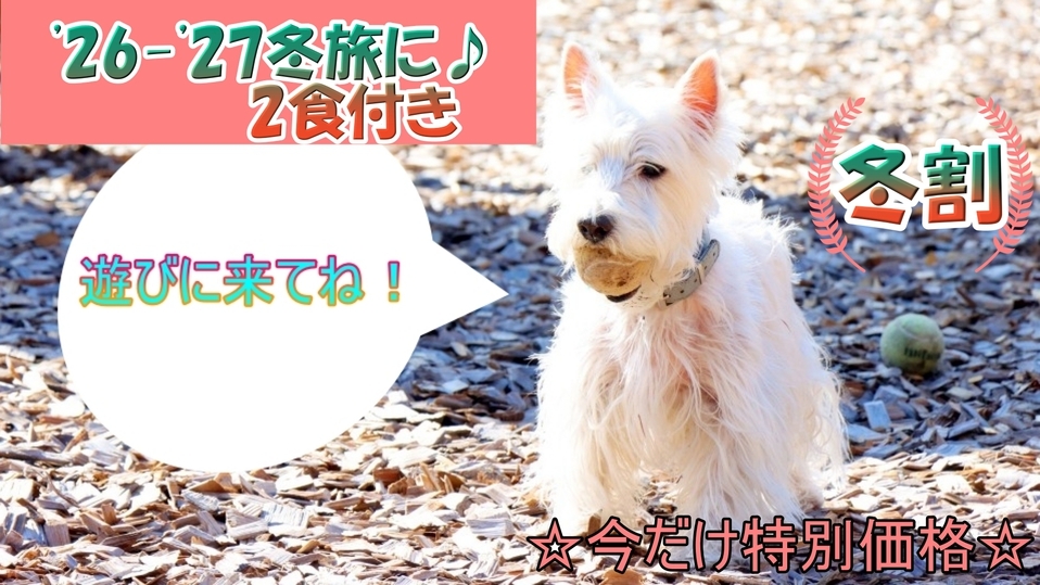 【’26-’27冬割】お一人様1，000円OFF★大型犬までOK♪わんちゃんと冬旅【1泊２食付】