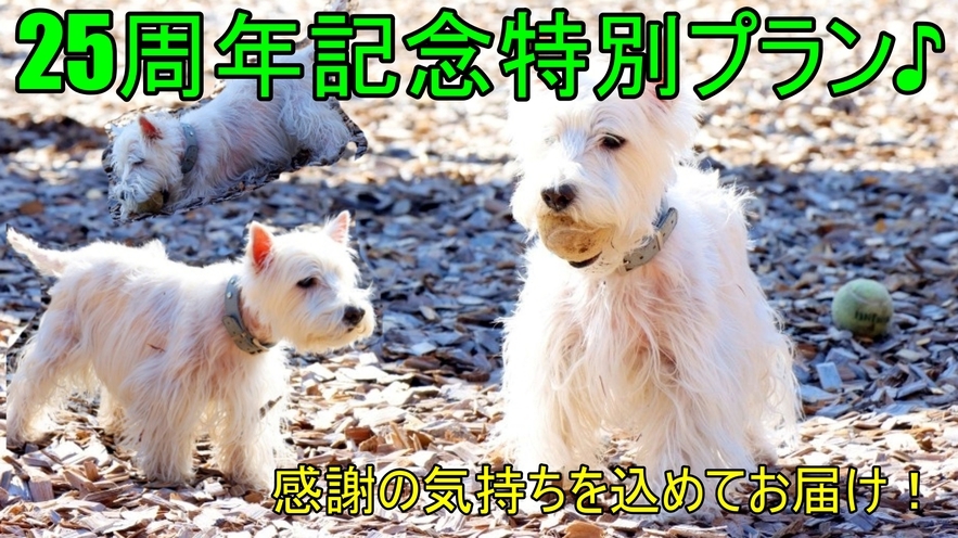 ☆25周年記念割引☆朝早くに出発の方ににおすすめ♪夕食は和洋折衷手作り家庭料理をどうぞ【1泊夕食付】