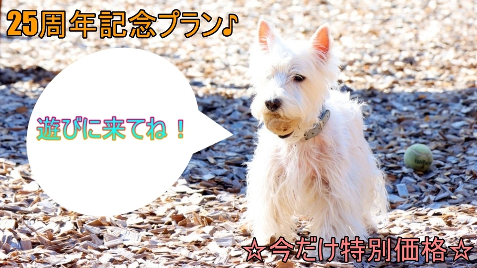 ☆25周年記念割引☆わんちゃんと一緒に楽しむ♪八ヶ岳南麓の旅【1泊朝食付】