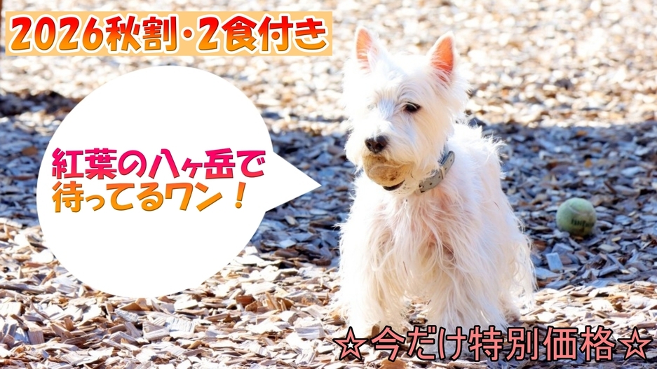 【2026秋割】お一人様500円OFF★大型犬までOK♪わんちゃんと楽しむ秋旅【1泊２食付】