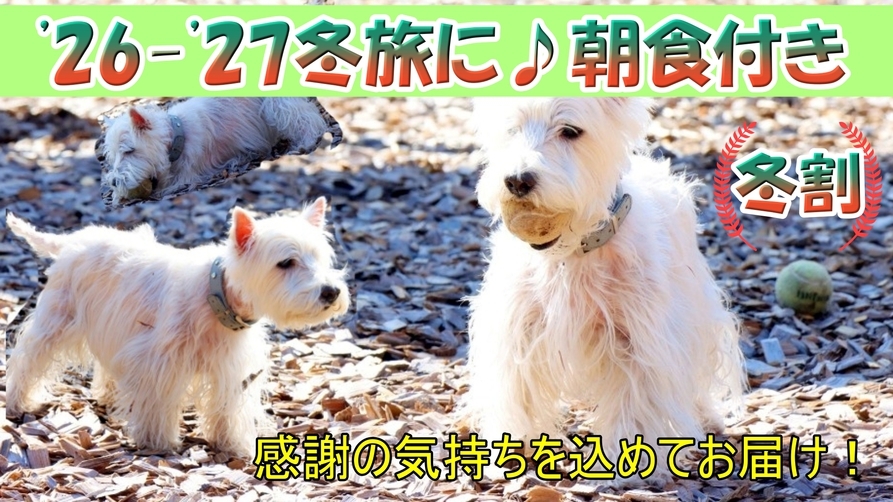 【’26-’27冬割】お一人様1，000円OFF★夜は自由♪わんちゃんと冬旅【1泊朝食付】