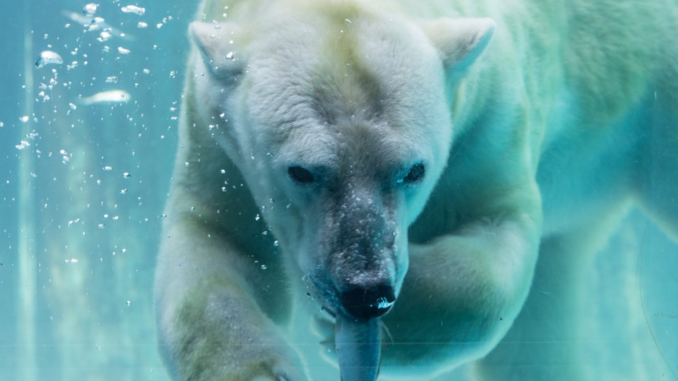 豊橋総合動植物公園 のんほいパーク
