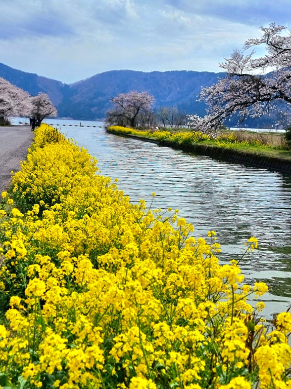 【1日1組限定】完全プライベートコテージ｜広い庭で楽しむBBQと焚き火 