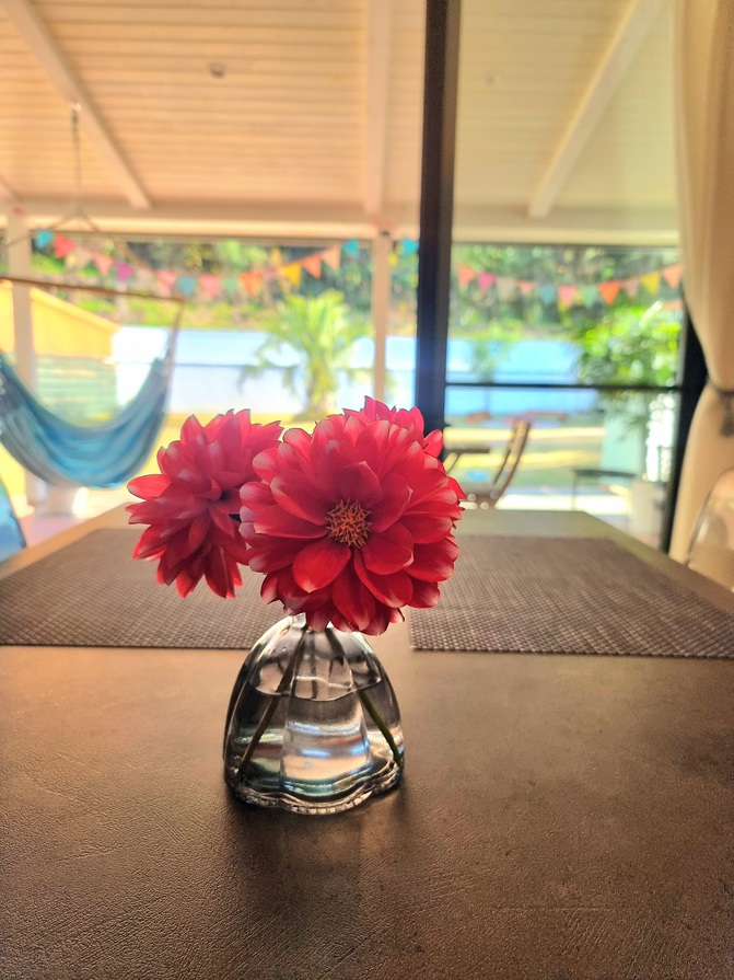 【1日1組限定】完全プライベートコテージ｜広い庭で楽しむBBQと焚き火 