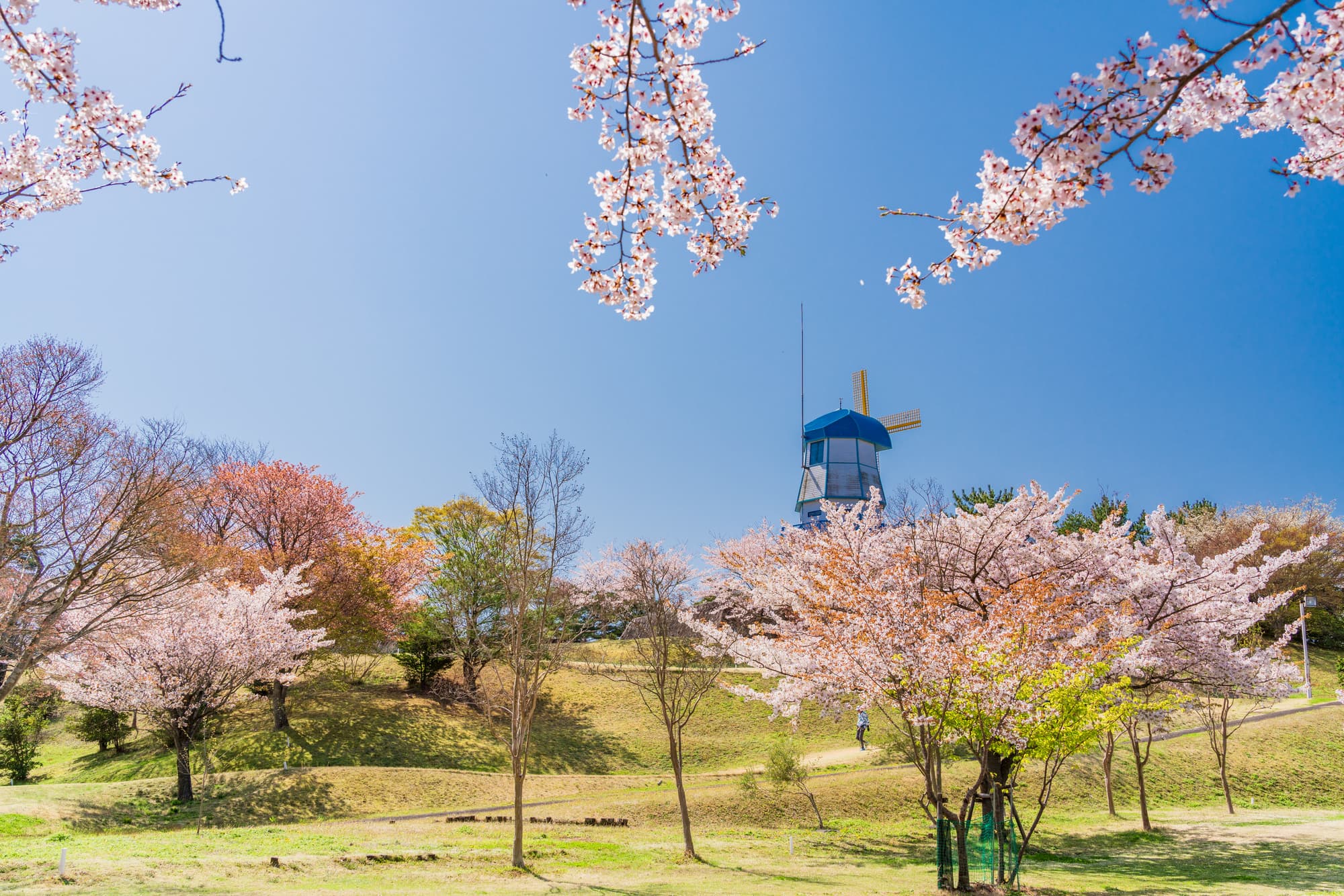 二ツ沼総合公園