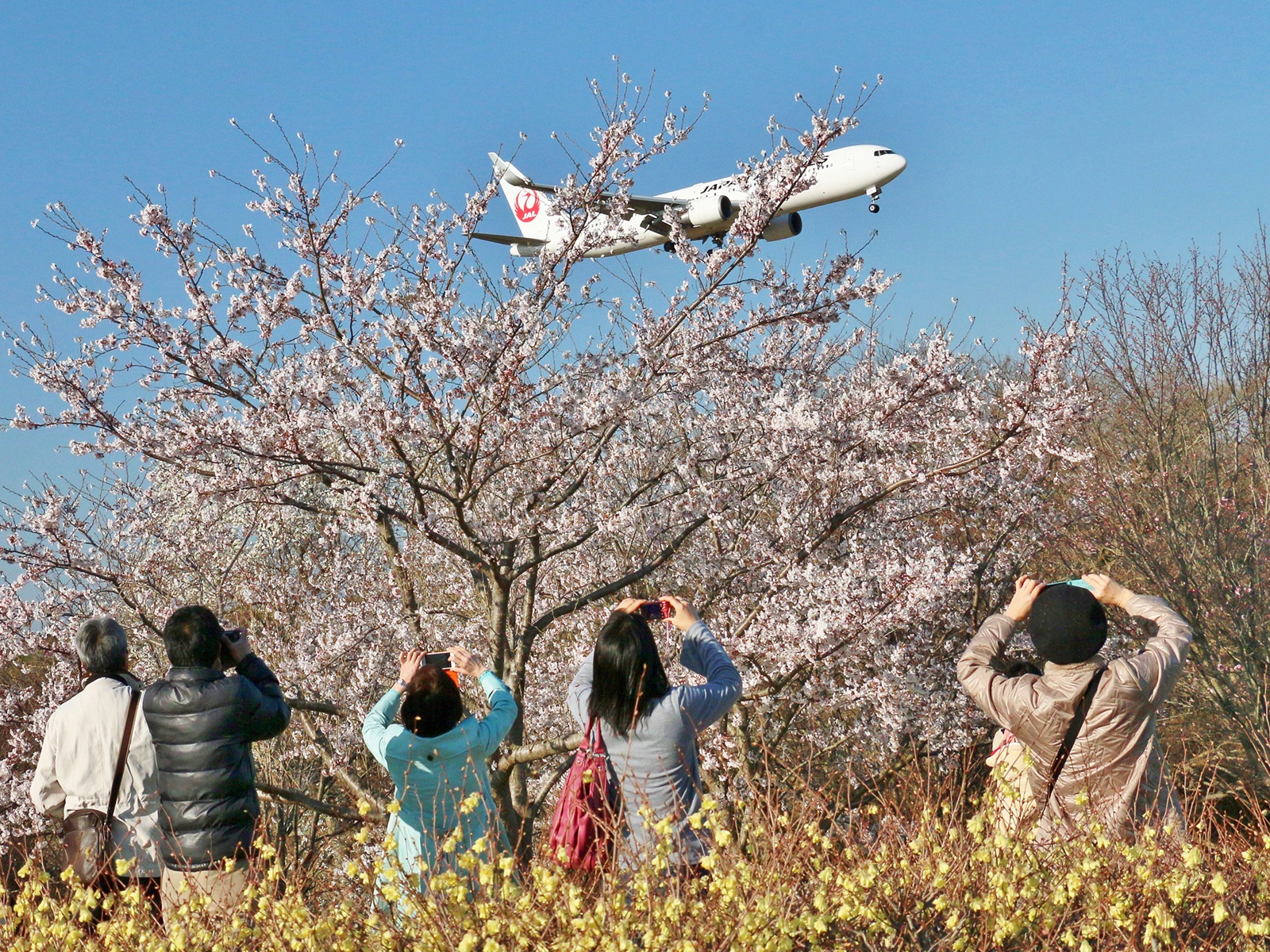 空の駅