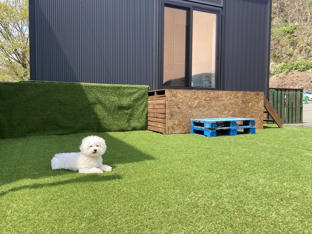 【大型犬OK】【ドッグラン付き】広めツインルーム　