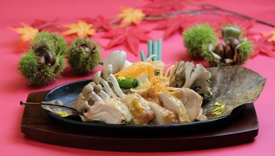 【秋限定★選べる朴葉焼き】鮭or地鶏♪秋の味覚を香ばしい朴葉焼きで満喫！1泊2食付